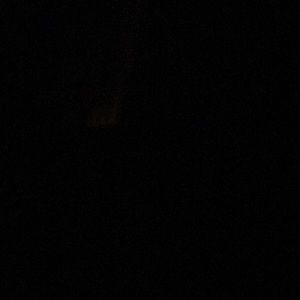 Meet your Posher, Ember